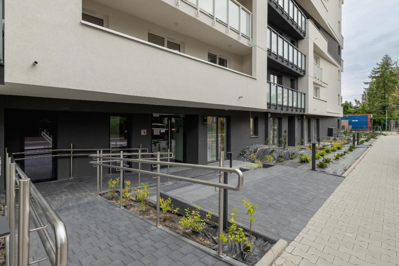 Stylish Klemensiewicza In Cracow By Renters Krakow