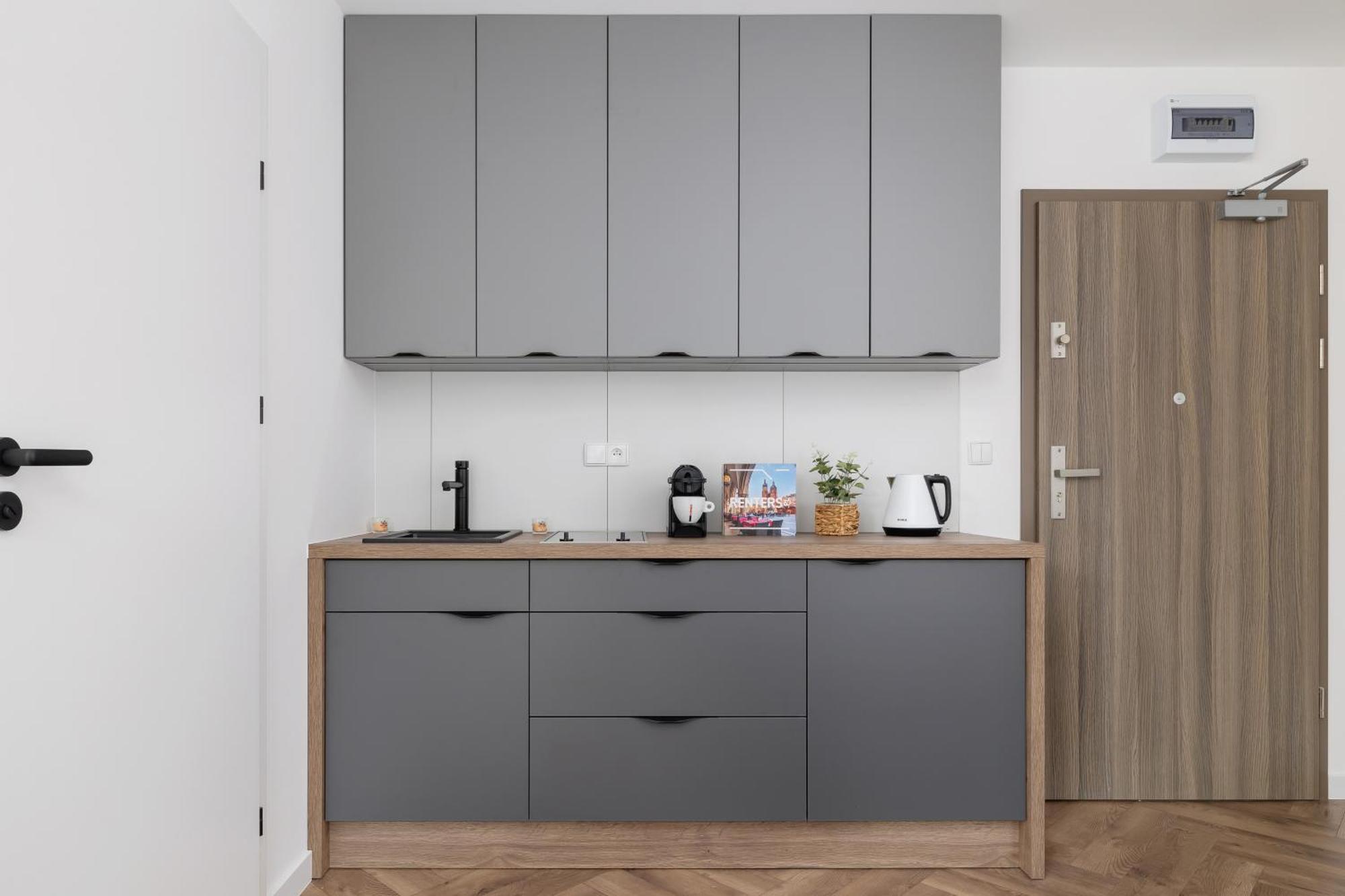 Stylish Klemensiewicza In Cracow By Renters Apartment *