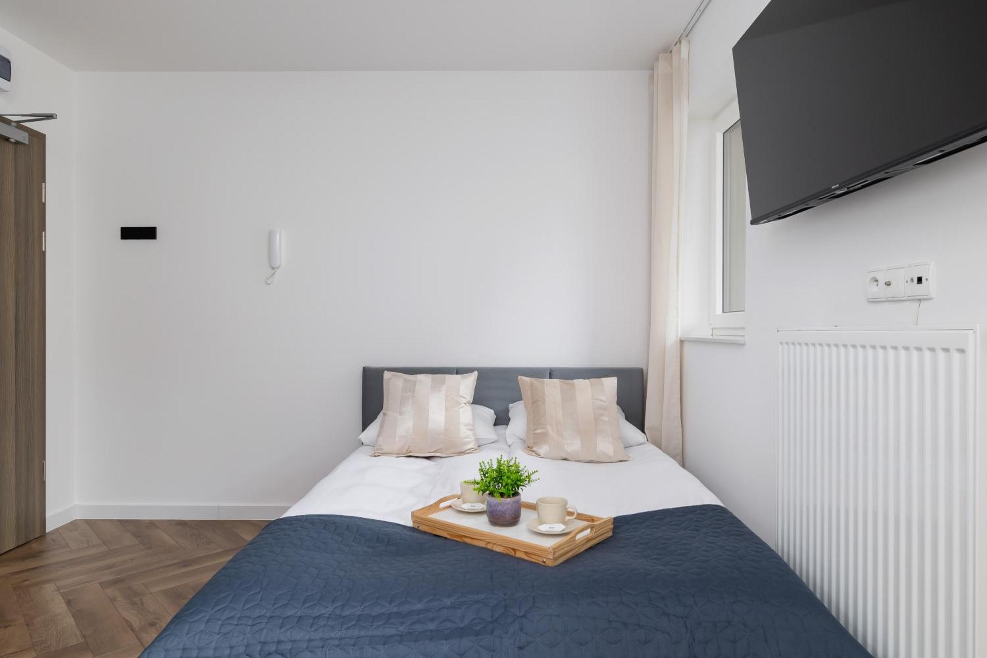 Stylish Klemensiewicza In Cracow By Renters Apartment